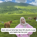 غوزيل من تتارستان: فتاة مسلمة جميلة صاحبة مزارع أبقار تدعوك للزواج وحياة مليئة بالطبيعة والحب