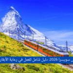 الهجرة إلى سويسرا 2026: دليل شامل للعمل في رعاية الأبقار والزراعة